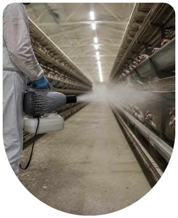 Профессиональная дезинсекция птицефабрики в Колпине